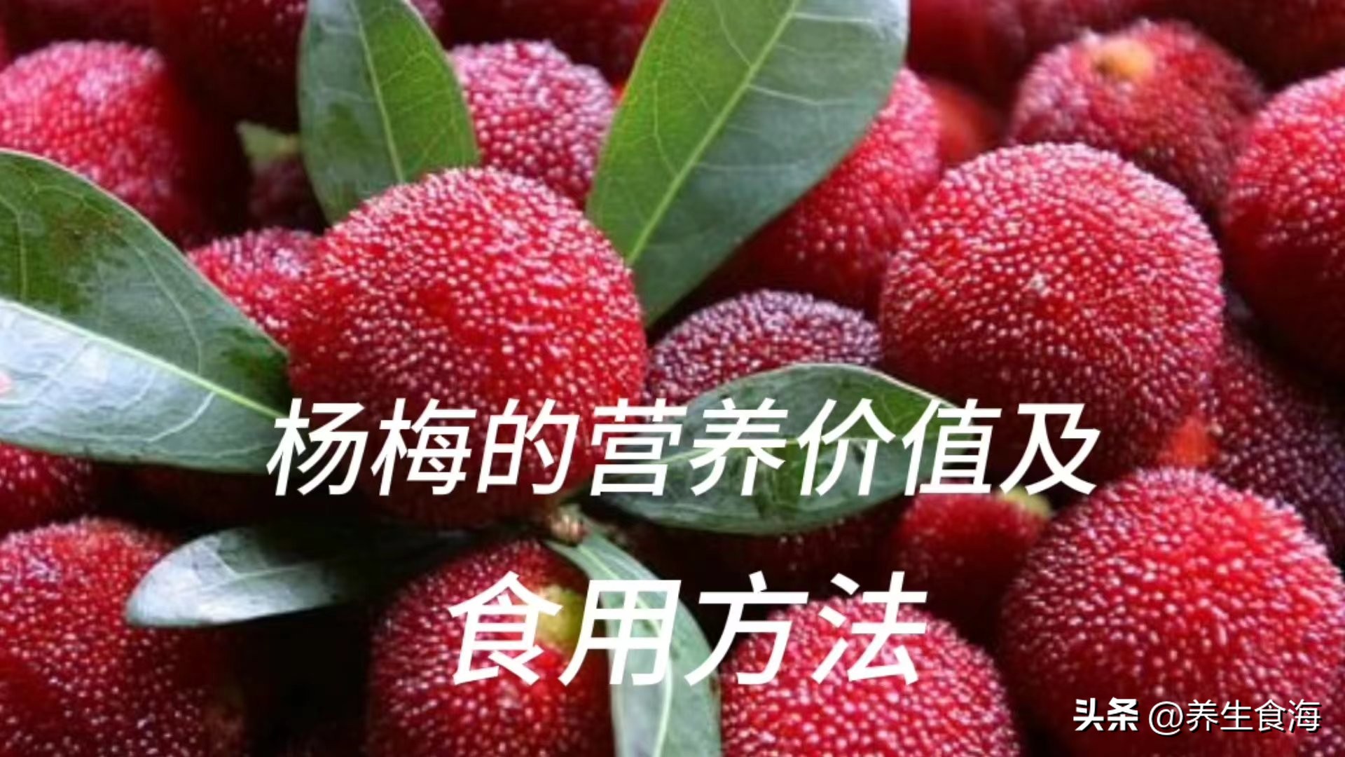 杨梅和蓝莓哪个营养价值高,杨梅的营养价值和功效