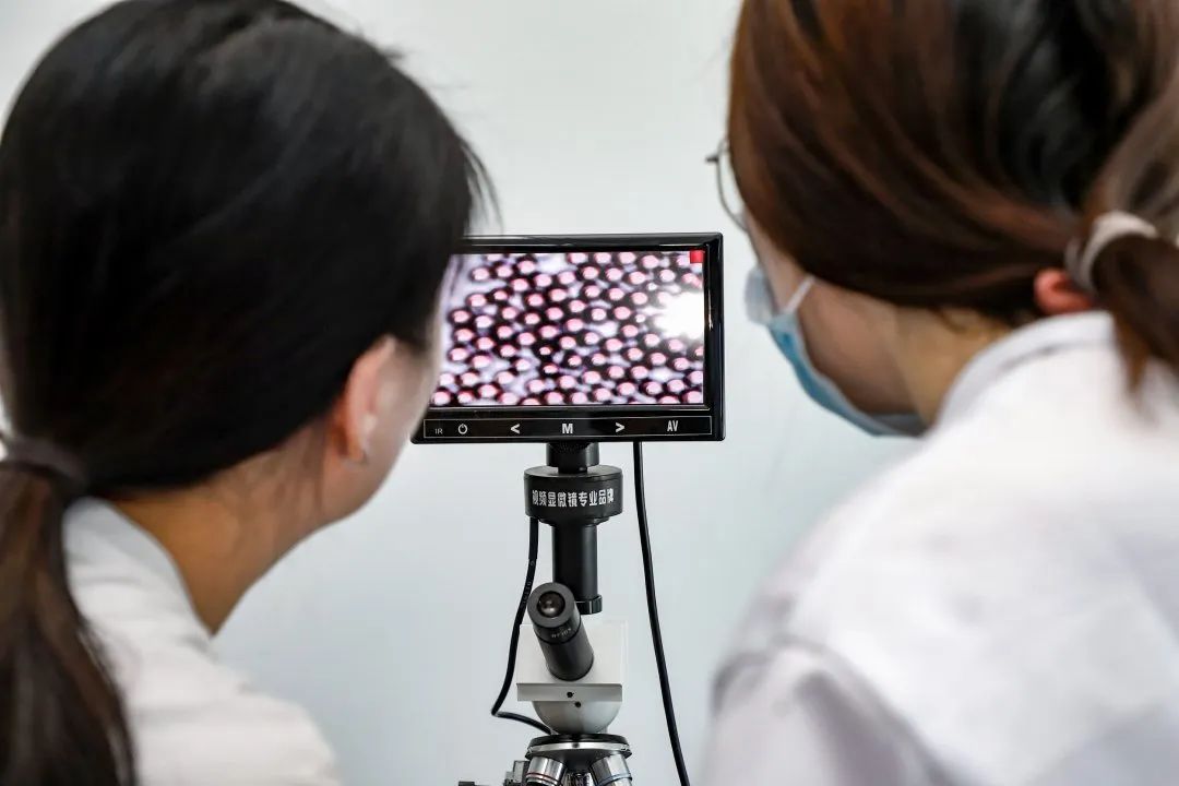 热火朝天！常熟：抢位新能源、生物医药新赛道