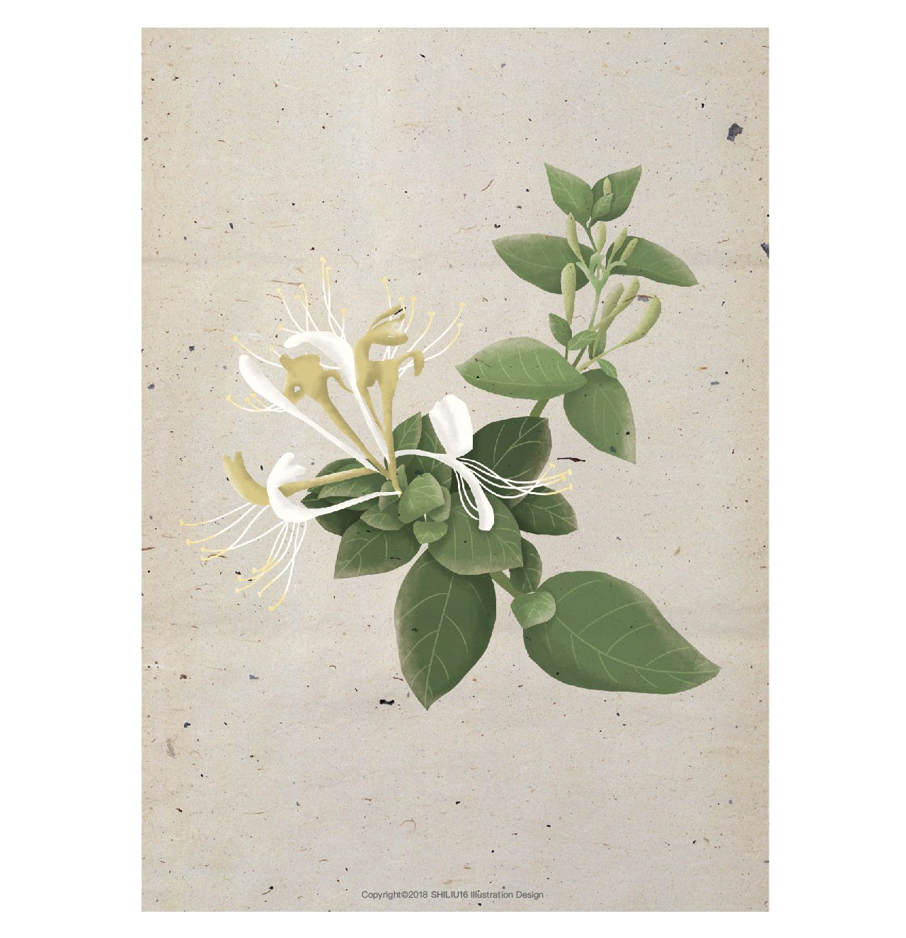 去除鼻子黑头粉刺的清理过程,激光去除粉刺黑头效果怎么样