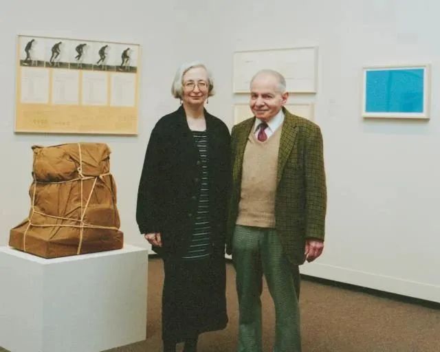 丁克家庭晚年真实生活 (丁克晚年生活纪录片)