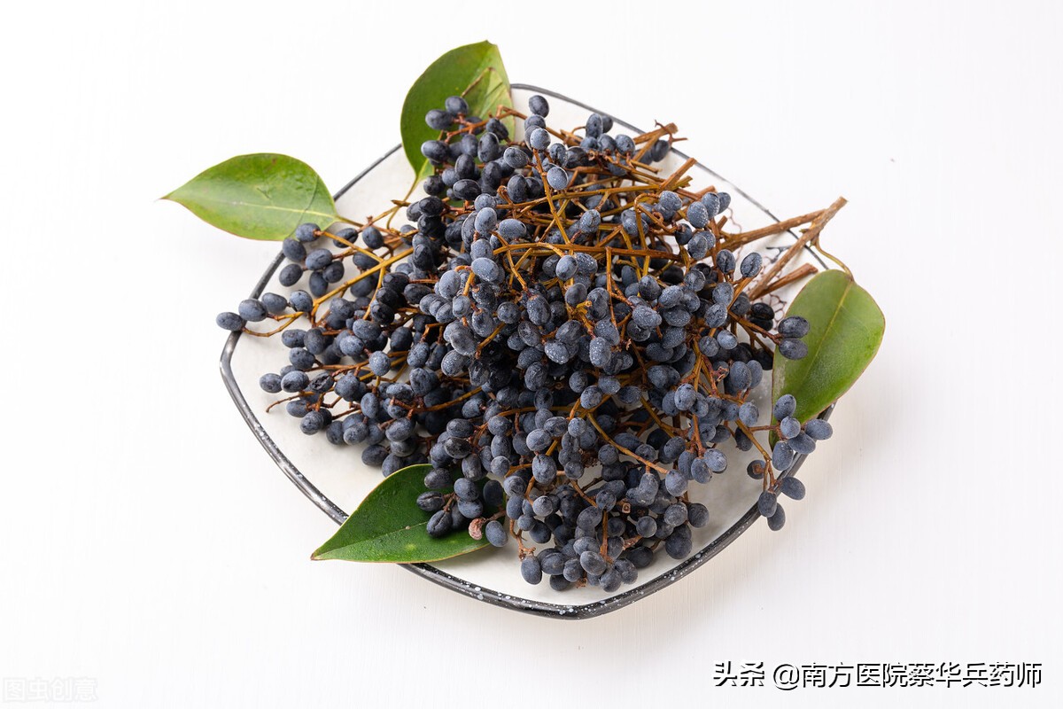 可以补肾阳治耳鸣的中草药,治耳聋耳鸣通络补阴虚中药配方