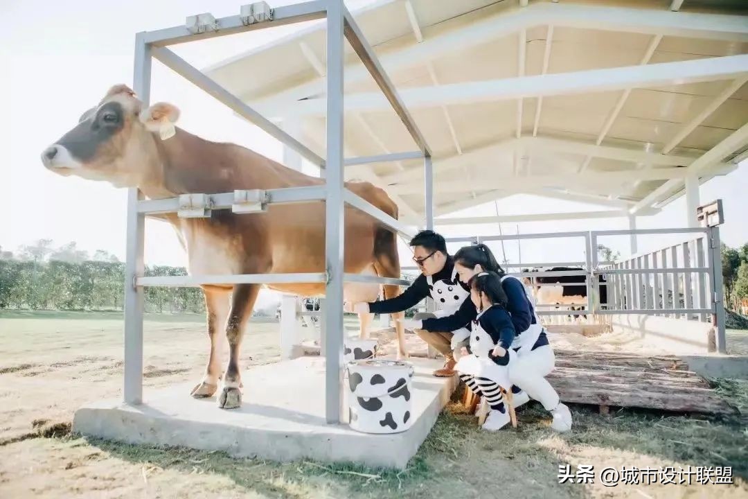乡村振兴和乡村治理典型经验,乡村治理的发展与创新