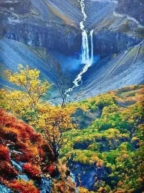 漂亮战友,漂亮的战友