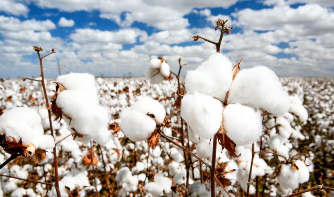 繁花防火丝光棉,繁花火山丝光棉