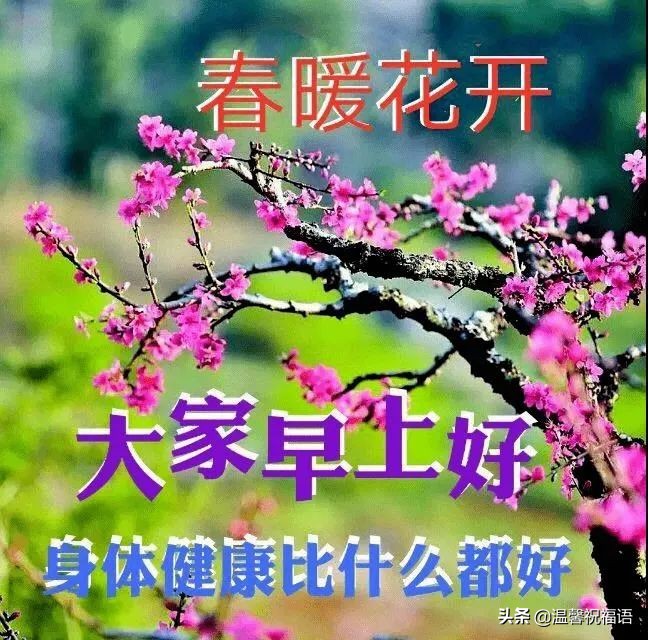 最新的早上好问候图片带字唯美,最美早上好祝福图片带字浪漫