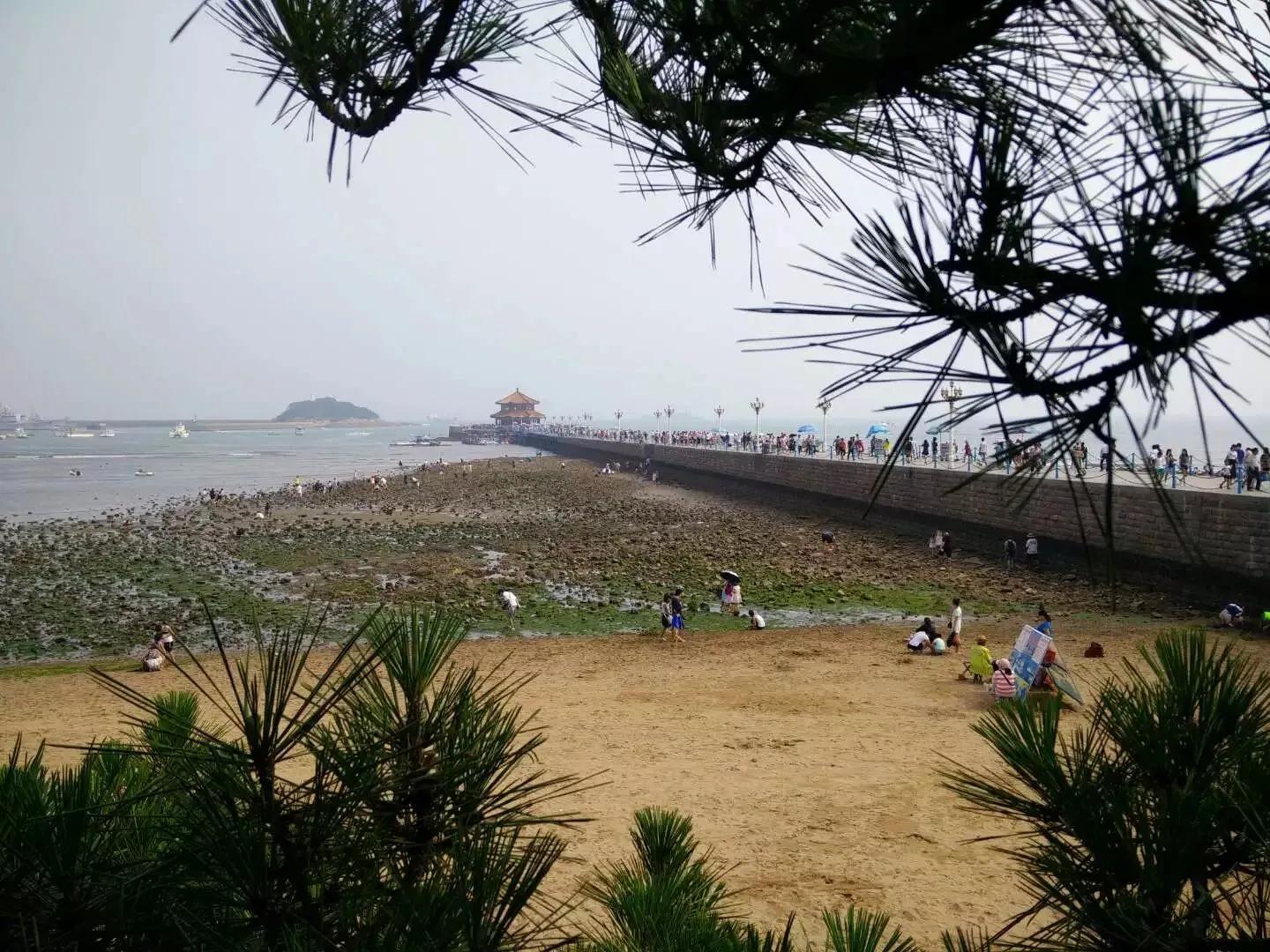 青岛崂山区网红打卡景点,来青岛必打卡的地方门票大全