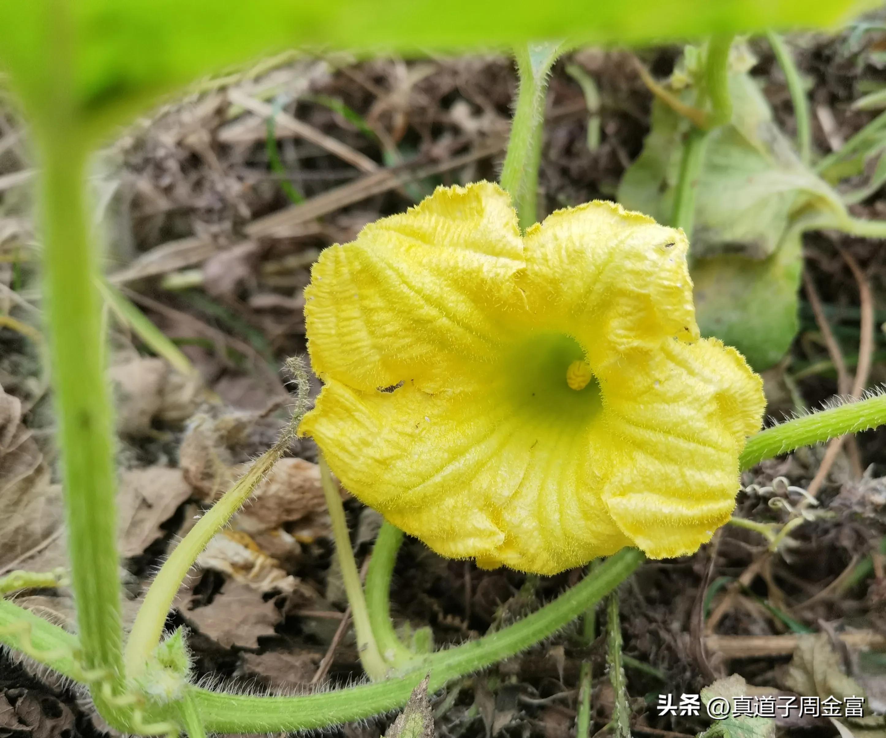 粉丝在微信文上的自信（上下篇）