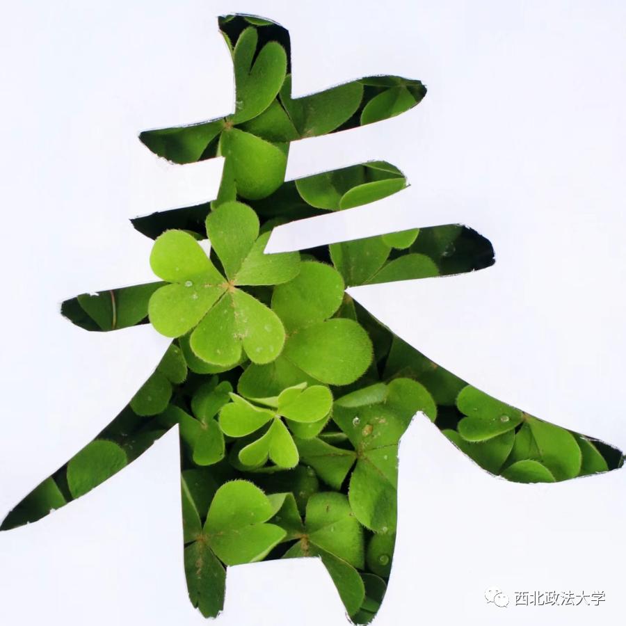 西法大到底是什么,西法大是什么意思网络用语