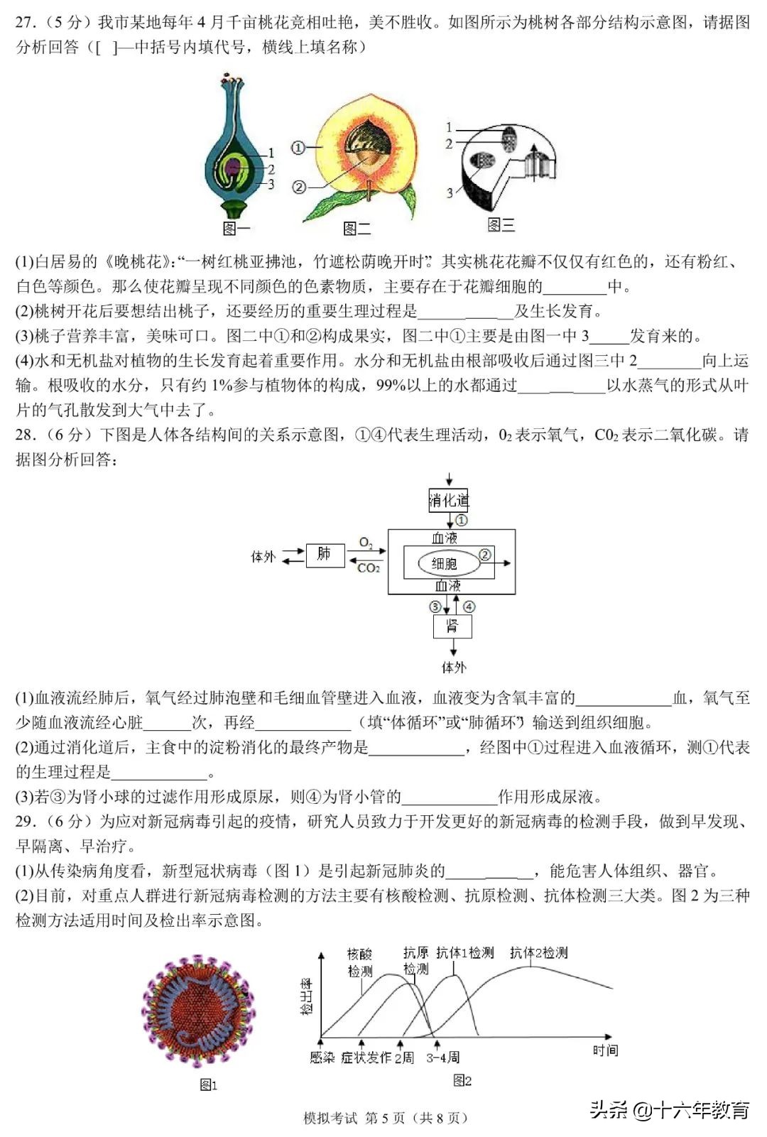 中考押题—2022年福建省中考模拟考试生物试卷及参考答案