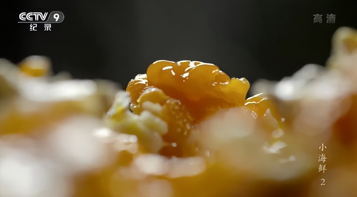 东海最后一处冷门小县城，藏了个海上仙子国，一口小海鲜封神