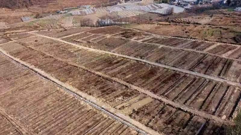 将乡村振兴规划变为美好现实,乡村振兴战略的美好愿景是哪些