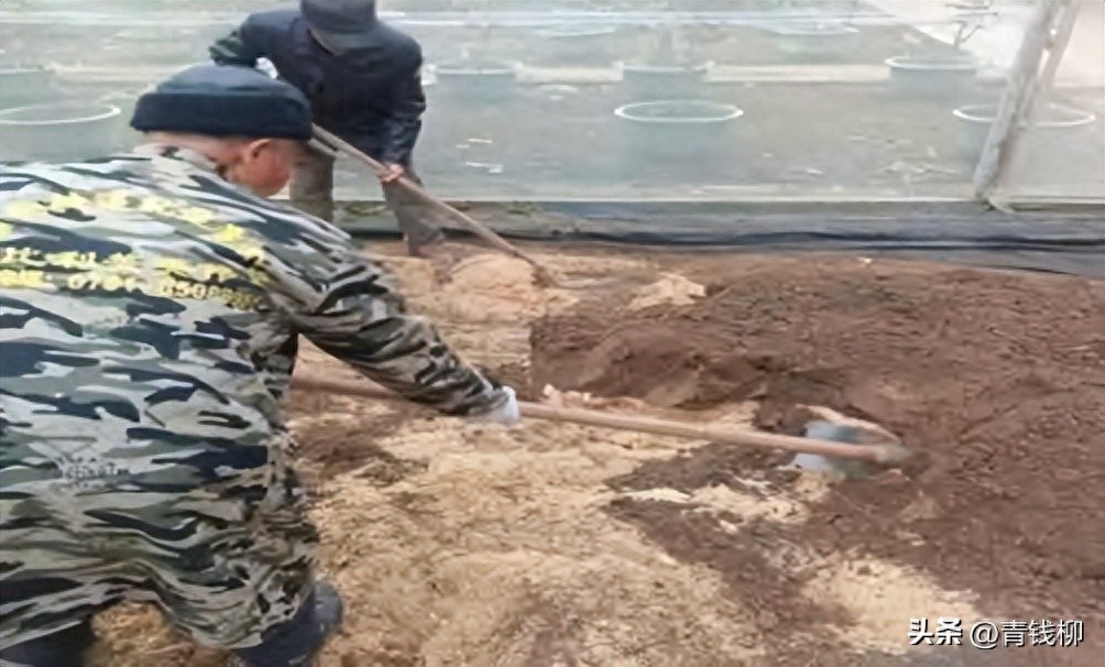 秋日暖阳之下,秋日暖阳下