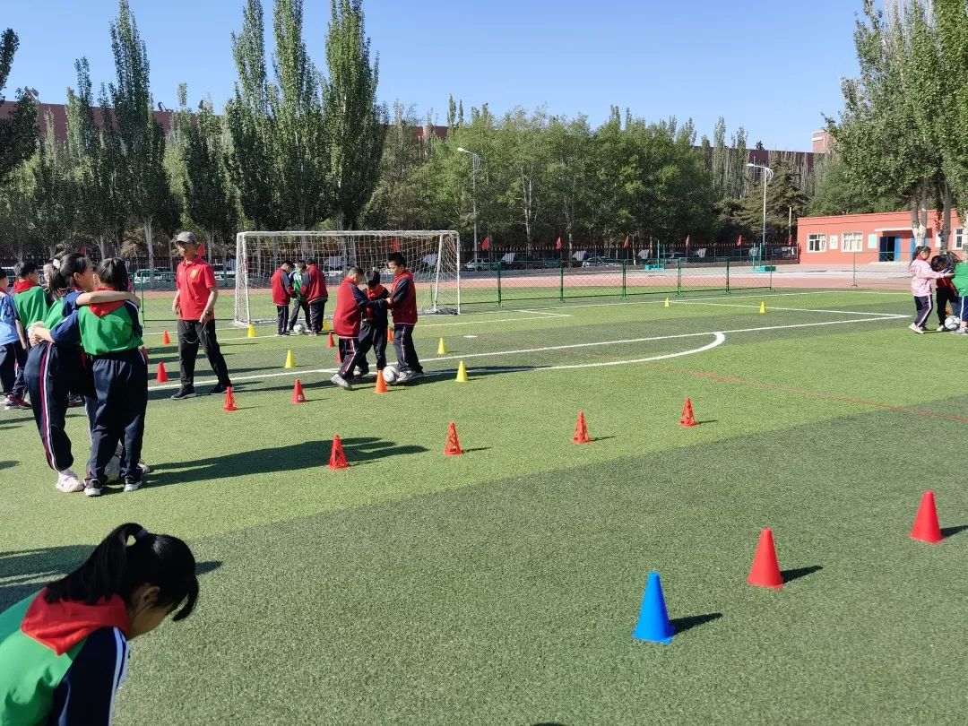 骨干教师示范引领个人工作总结,省市区优秀教师示范引领