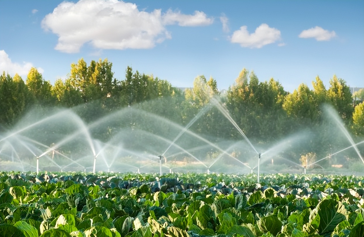 农业可持续性发展的理论与实践,农业技术创新推动农业现代化发展