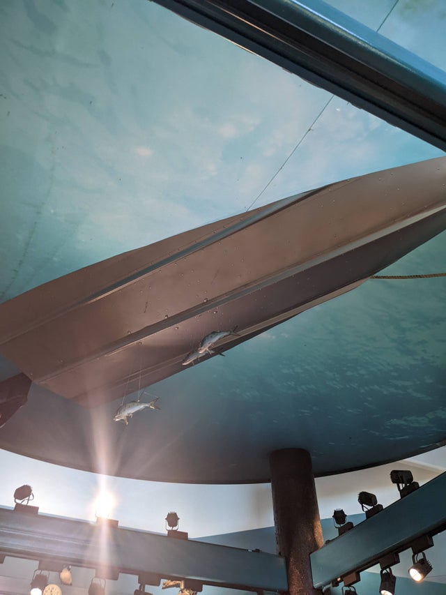 海洋巨蟒真实照片大全,海洋巨蟒真实图片大全