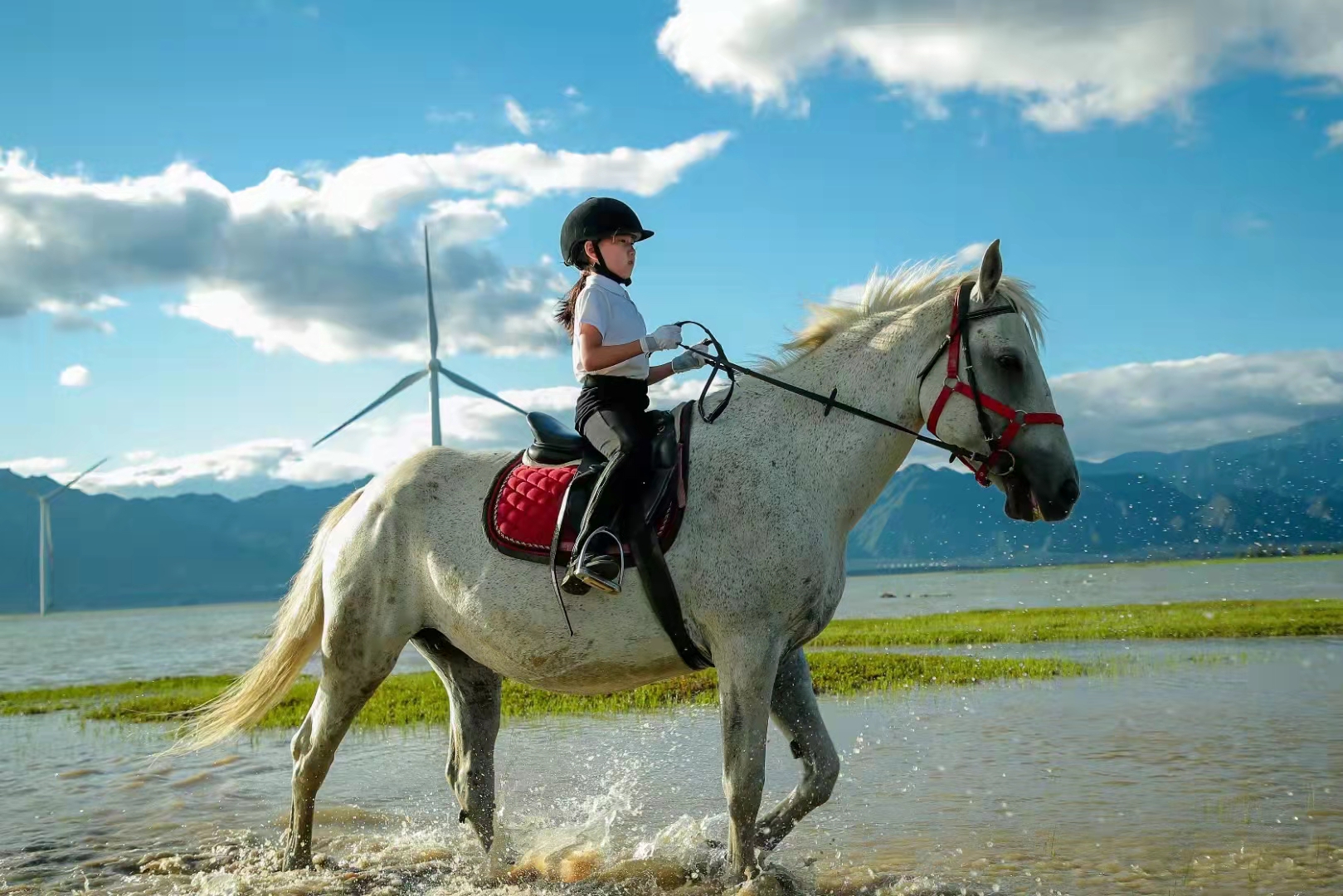 2023华杯赛夏令营,华誉外交官