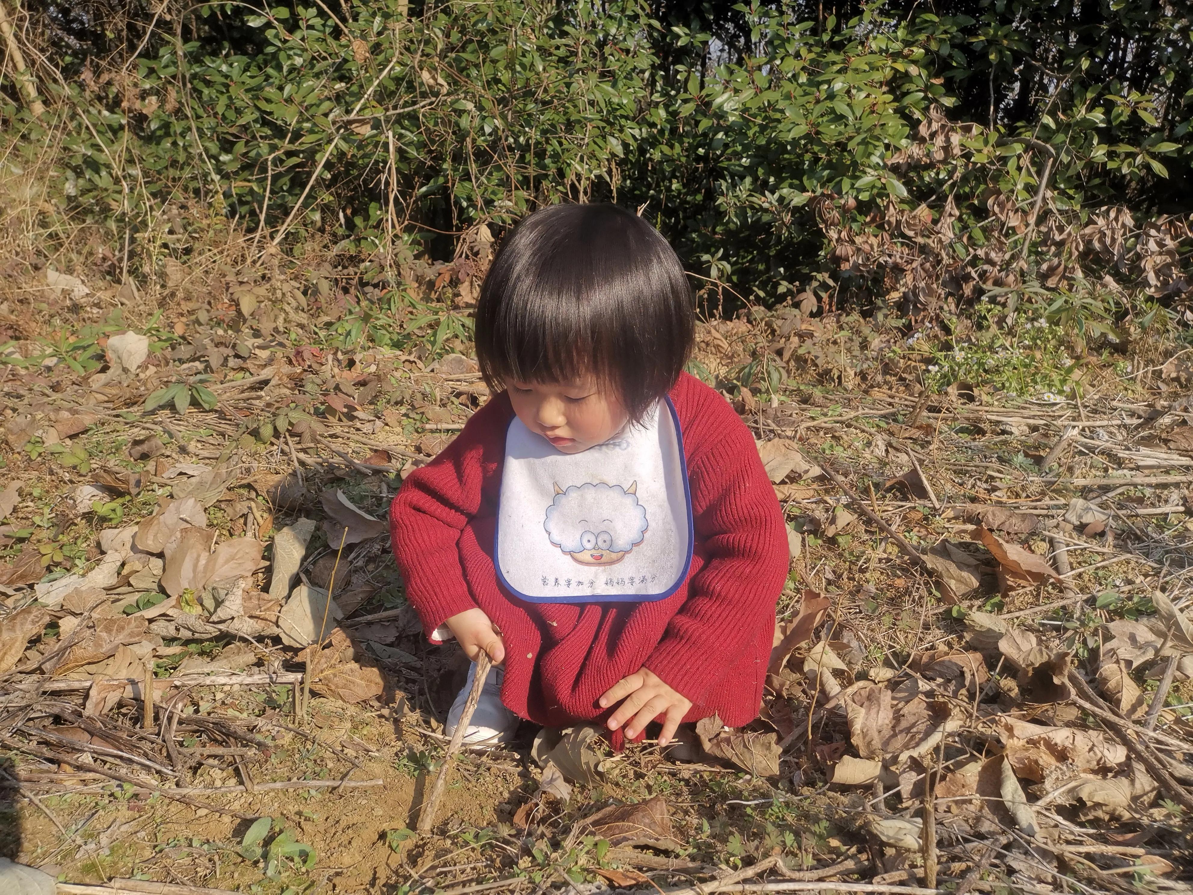 黑莓树可以盆栽吗,宝宝种花生