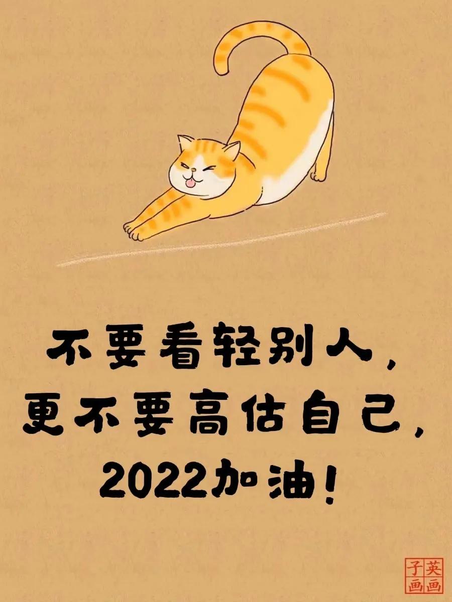 老虎不发威你当我是病猫电视剧,老虎不发威你当我是病猫下集
