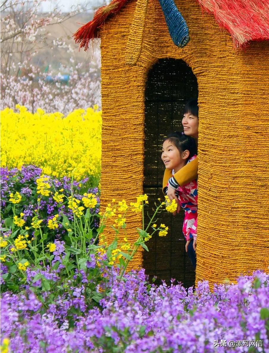 漯河市近几年的书画展,漯河市书画展开幕式