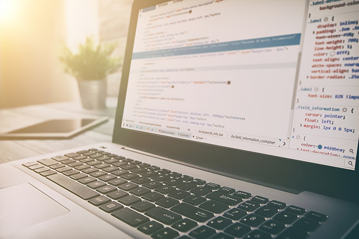 网站开发公司需要多少钱,公司网站建设开发