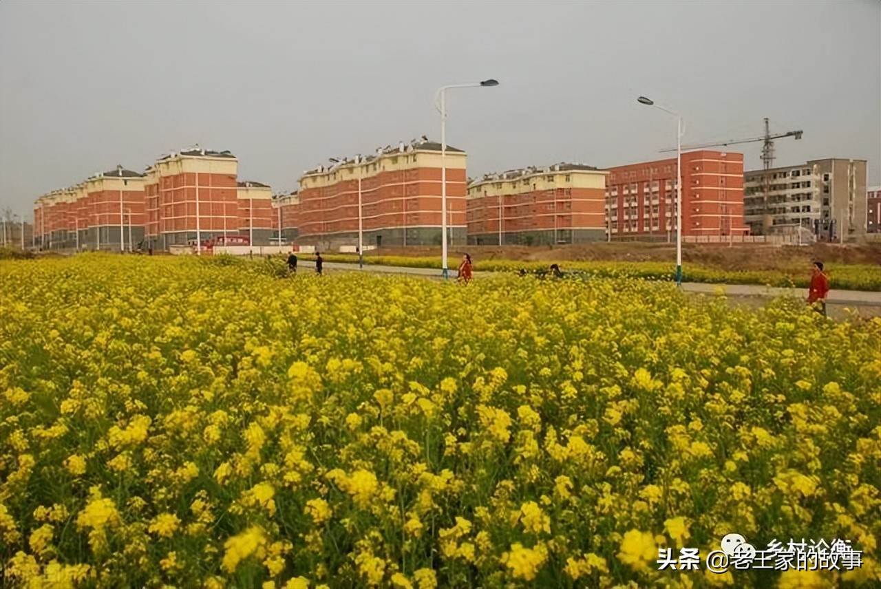 下乡知青刘奇的故事,刘奇商业新思维