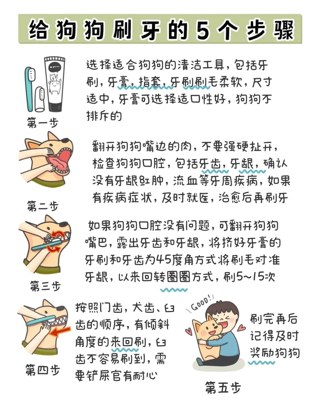 狗狗牙齿红肿怎么办,狗狗牙齿可以剪掉吗