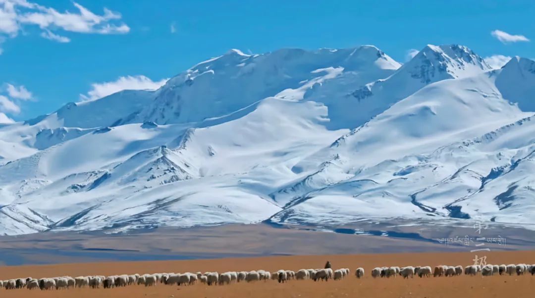 纪录片藏北无人区,几部西藏纪录片