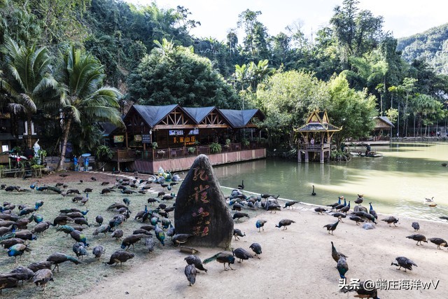 到云南昆明旅游必去的景点有哪些,云南香格里拉旅游攻略必去景点