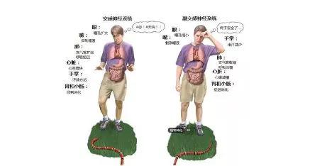 早餐奶和牛奶哪个好,别被广告“套路”了