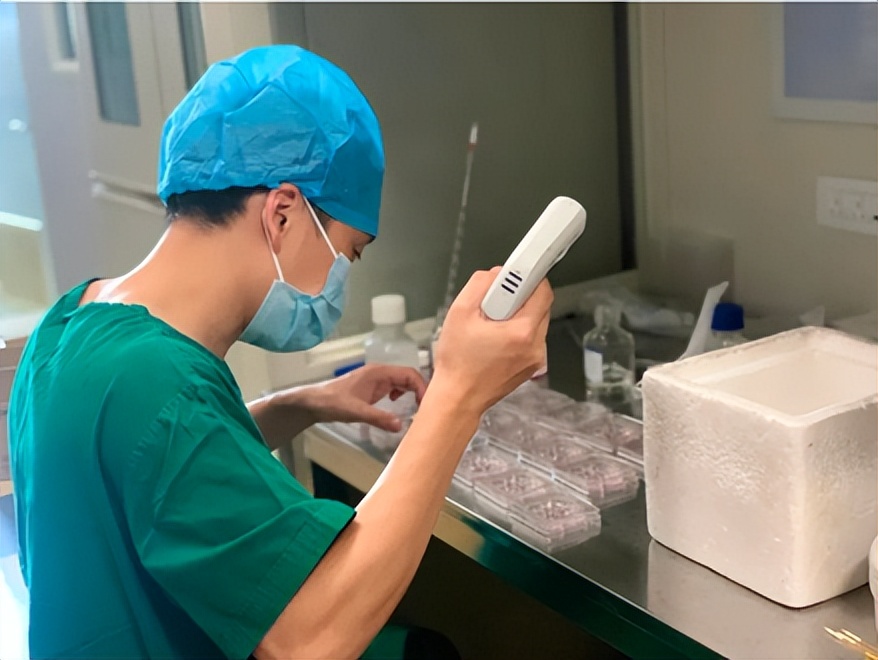 国际首例！中山六院梁晓燕团队发现一基因位点突变可能致严重胎儿心脏畸形！