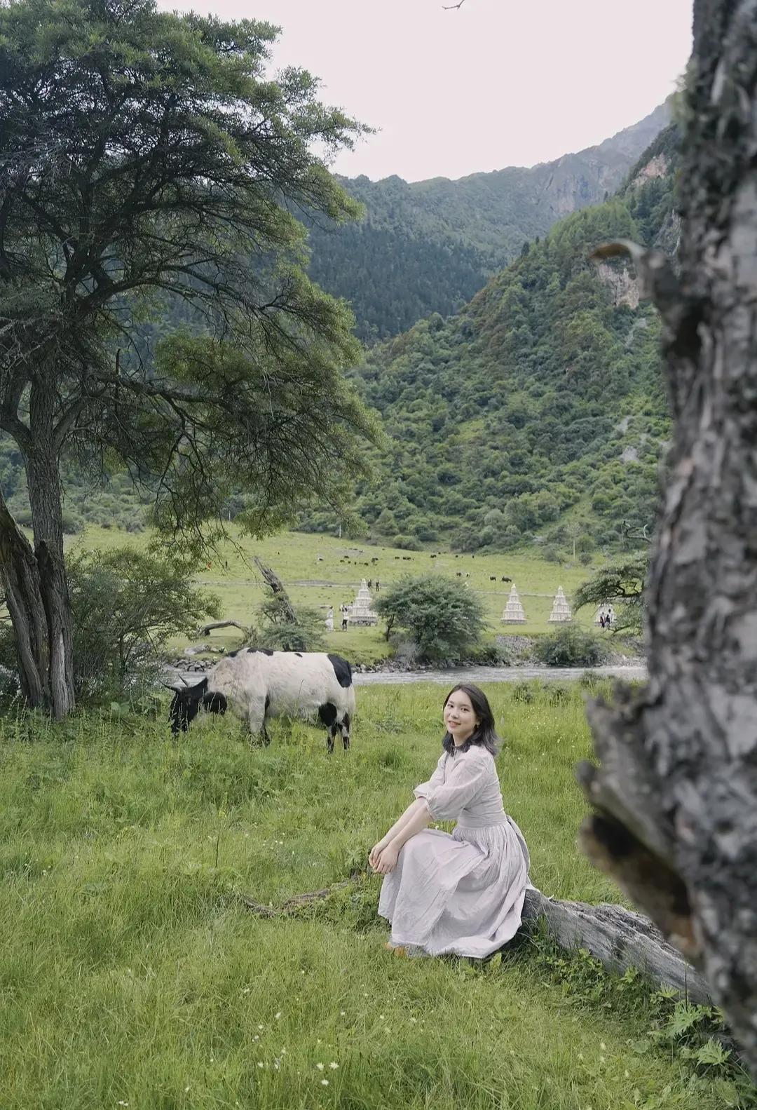 过犹不及近义词,过犹不及的下半句