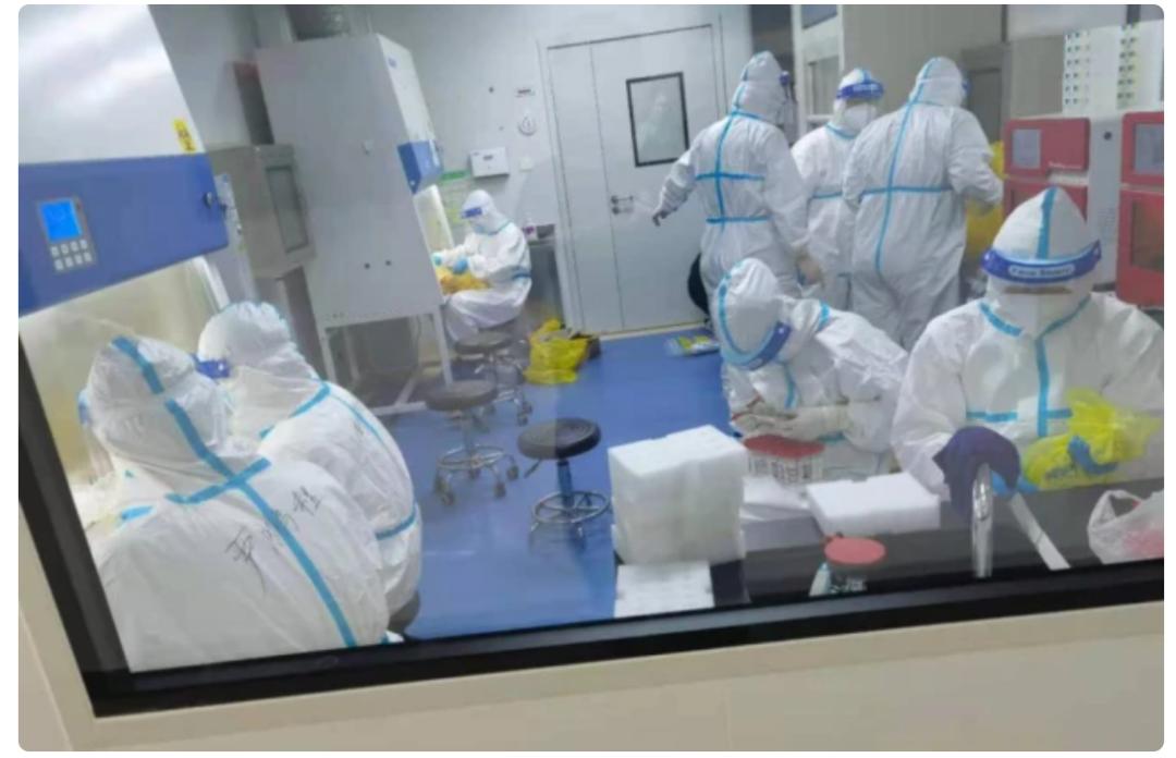 核酸检测机构被调查,许昌博奥润康核酸检测时间