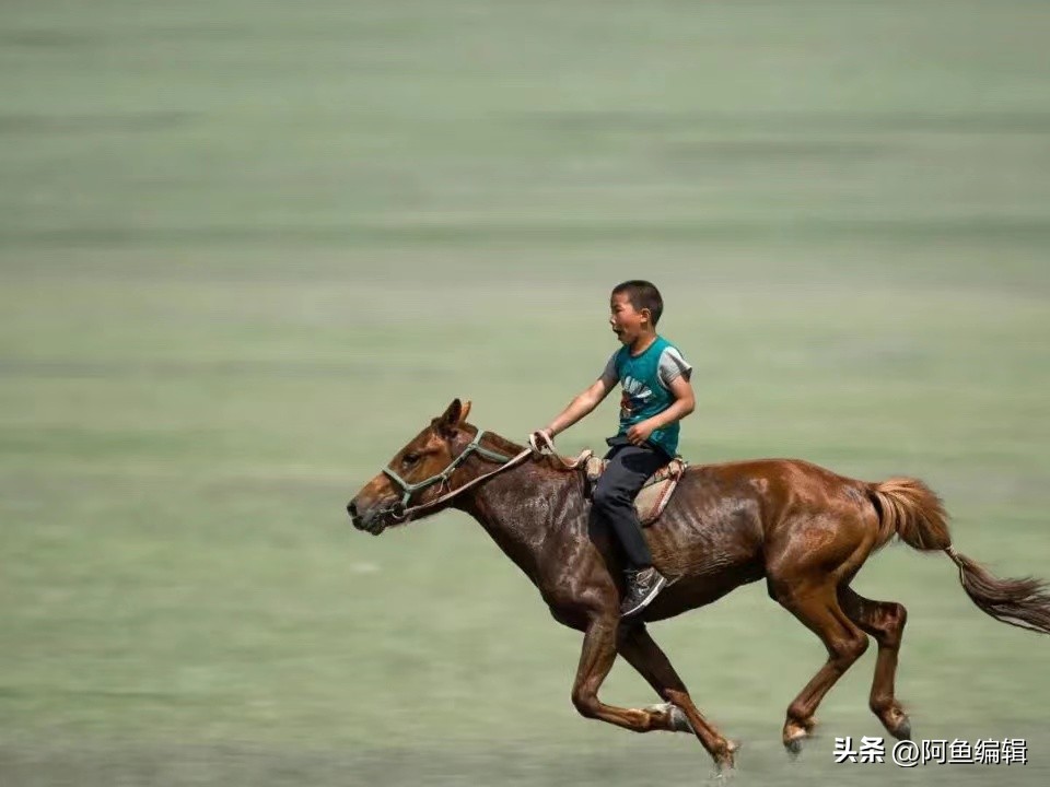 课堂提问的有效性课题研究方案,微型课题研究方案范例中学物理