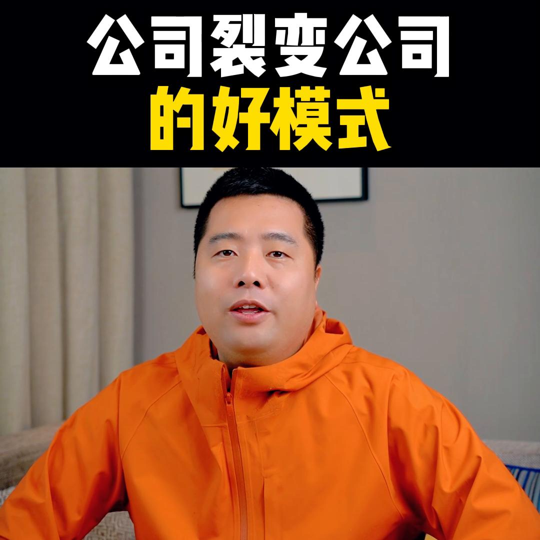 公司裂变盈利模式,裂变模式公司