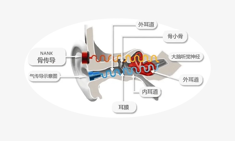 骨传导耳机推荐性价比高排行榜,赛娜骨传导耳机和小幽骨传导耳机