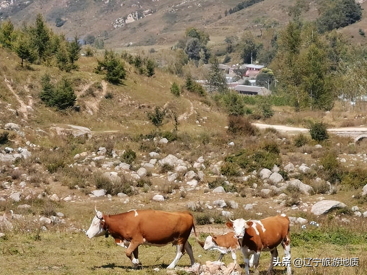 旅游山西古村落,山西新打造的古村空无游客