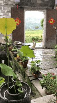 有没有结婚找不到伴娘的尴尬,实在找不到伴娘