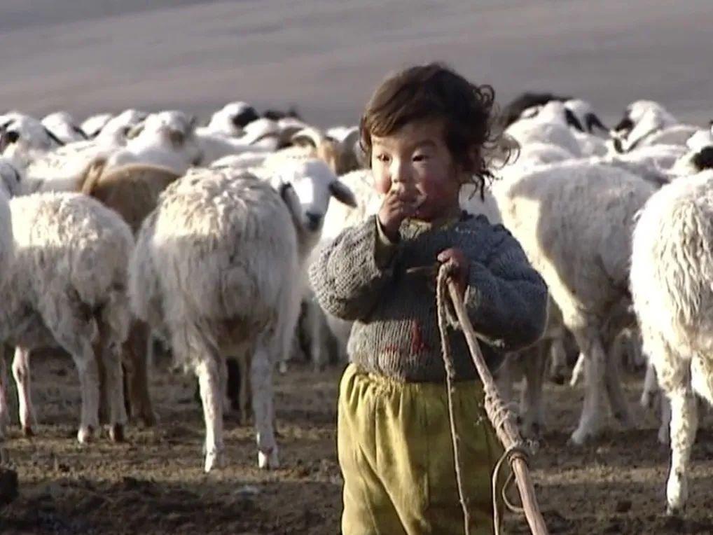 大专课上，老师教我洗澡、避孕、正常做人