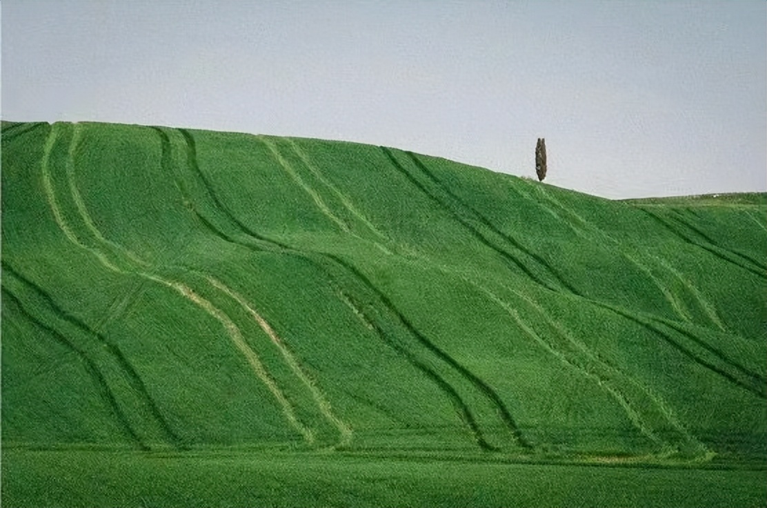 广州疫情放开现状怎么样,广州疫情真的放开了吗