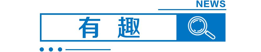 演员身亡的视频,演员意外死亡事件完整版