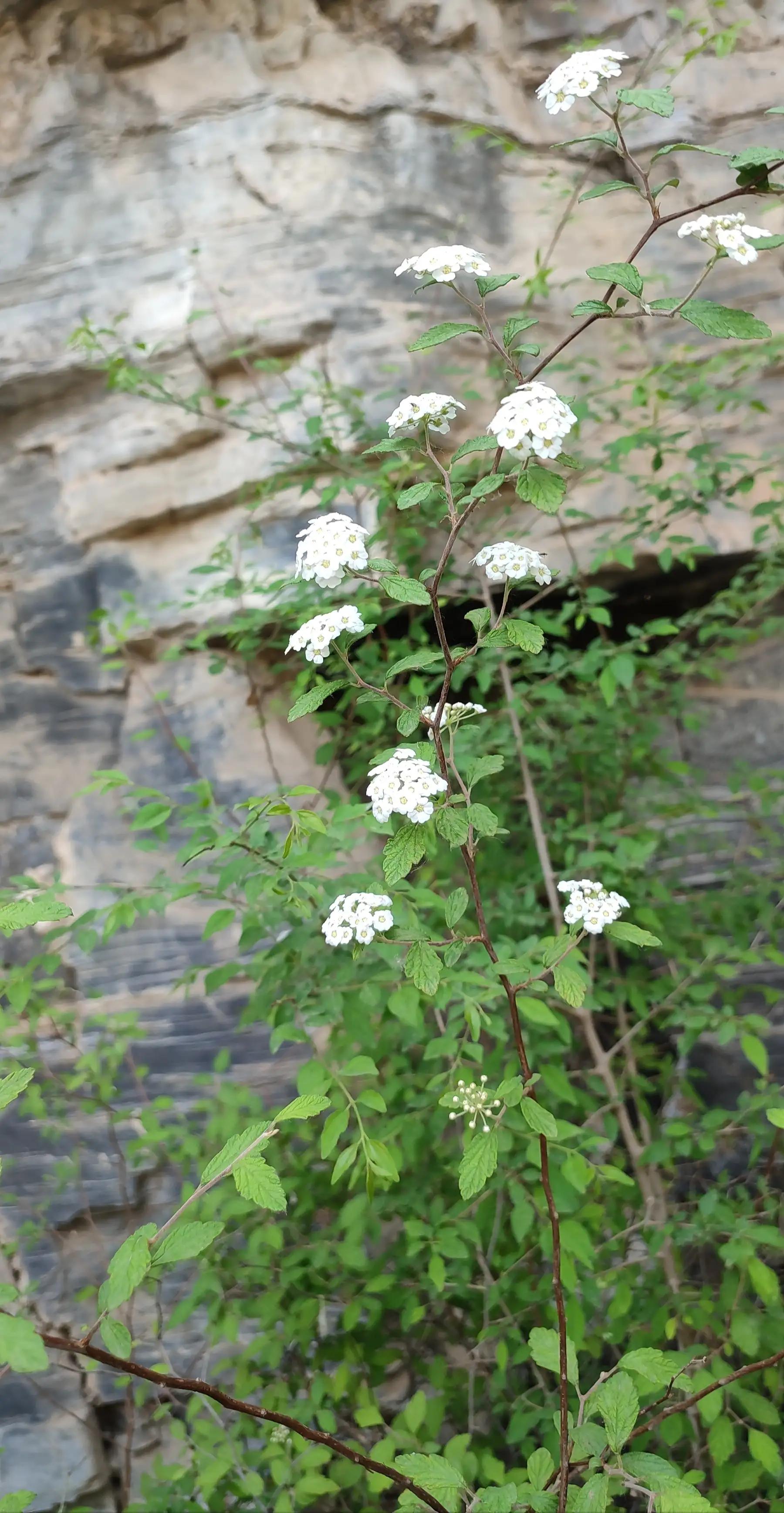 十渡一日游游玩攻略,十渡一日游旅行社