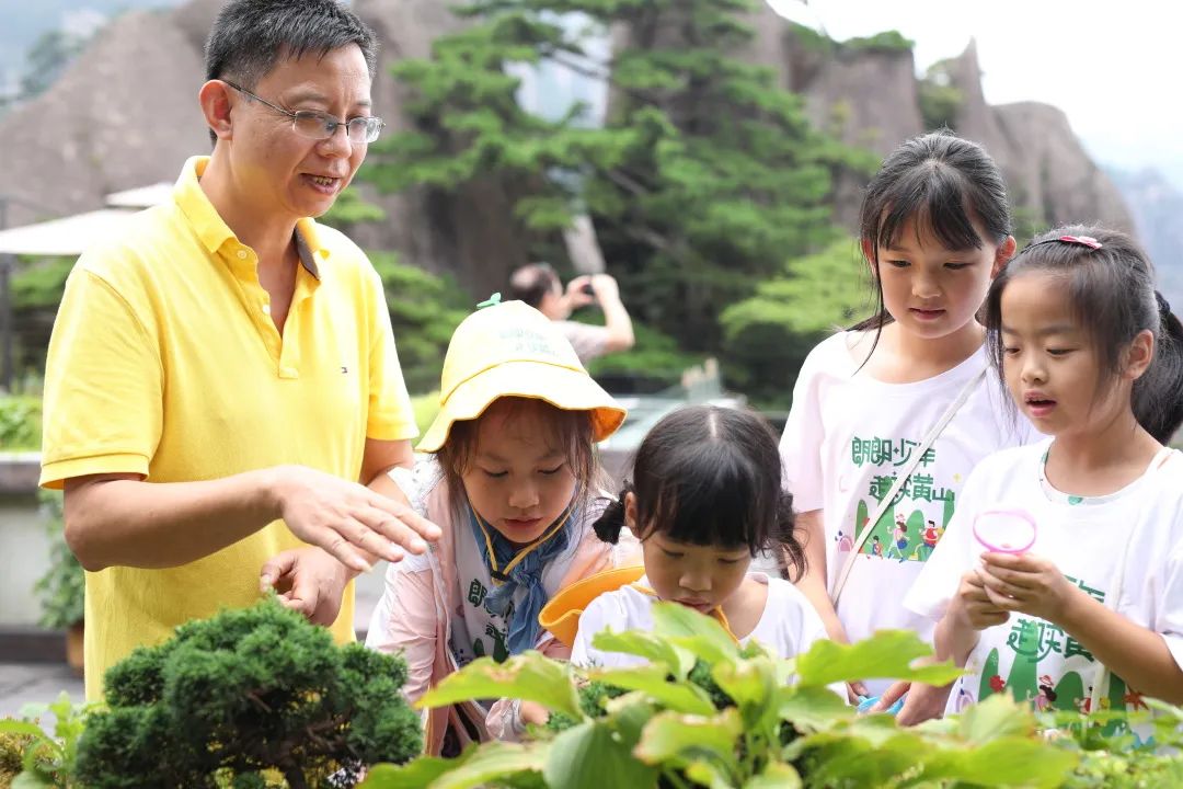 登山，观星，云海，日出，朗读会……跟着朗朗少年游学黄山