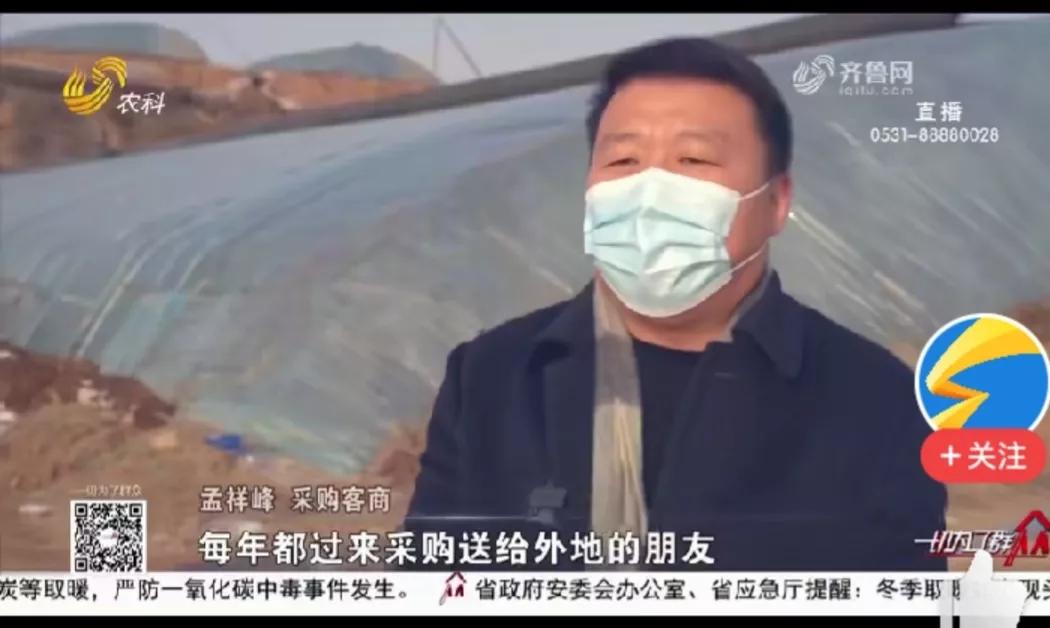 一个人如何种植致富树,农村现在种植树最赚钱