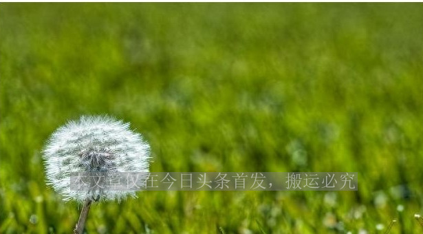 60岁的少女马兰,没有皱纹也没有赘肉,余秋雨娶她堪比获诺贝尔奖