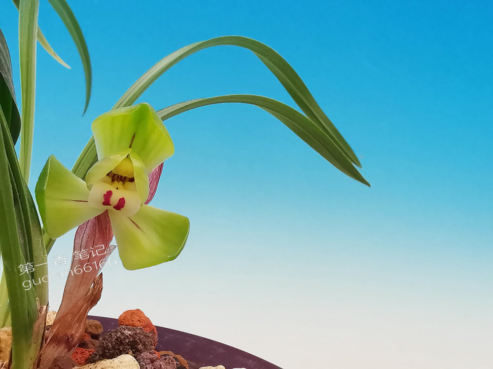 号外!送灶,特别想念家中的父母