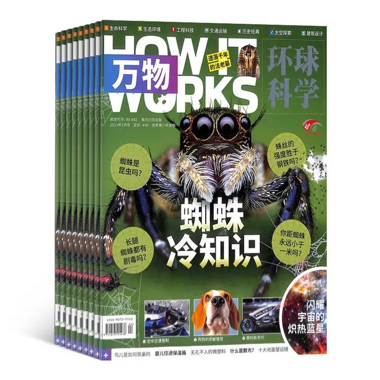 初中升高中暑假该不该玩,初中生学生暑假应该怎样度过