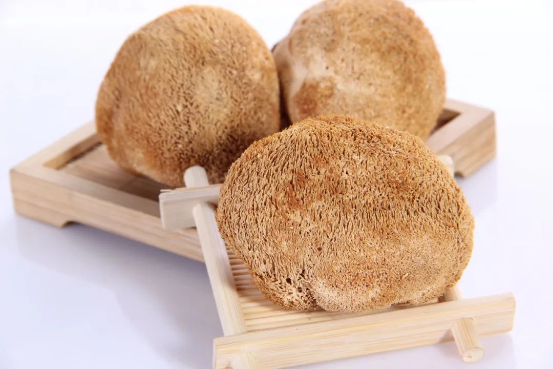 猴头健胃灵功效和作用,猴头功效