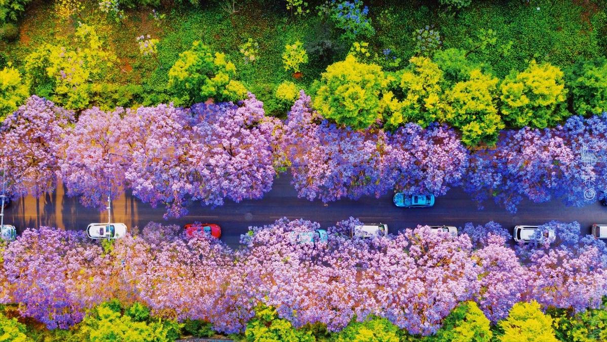 云南昆明春城游玩攻略,春城之约昆明旅游攻略