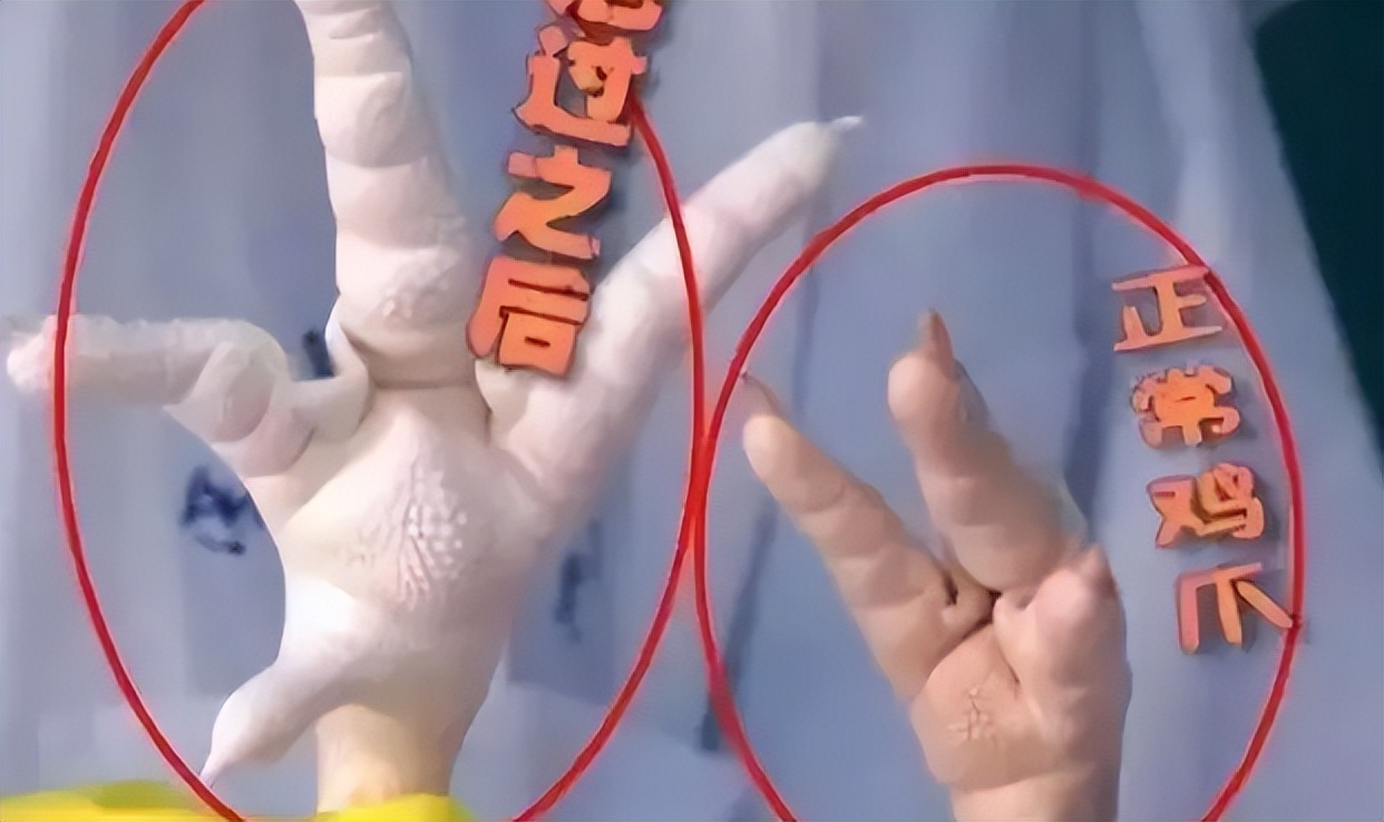 尸体药水泡海鲜，“色素”鸡蛋再现，315未曝光的菜场内幕太吓人