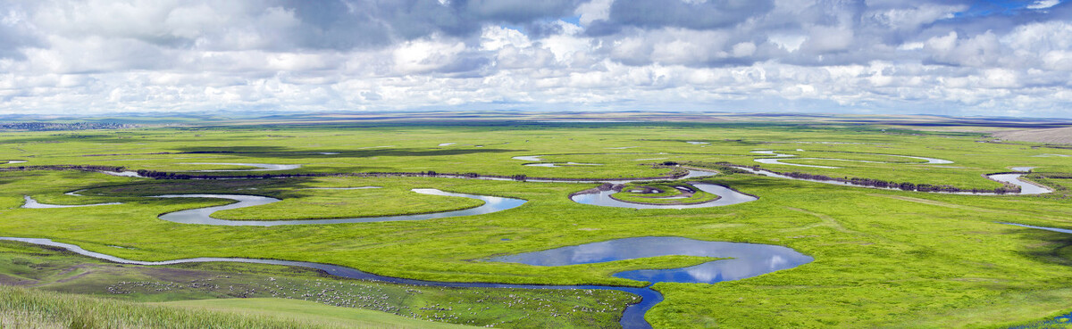 我国必去打卡的草原,呼伦贝尔值得去的草原